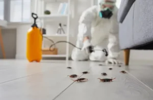 التخلص من الصراصير