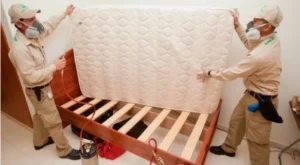 شركات مكافحة بق الفراش