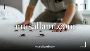 شركة مكافحة بق الفراش في جدة