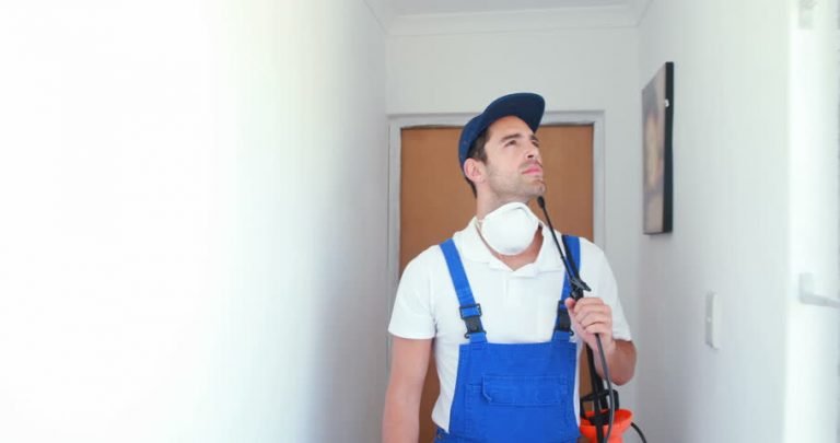 شركة رش حشرات بجدة